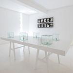 Fabienne Francotte, 74, 2020