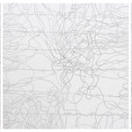 Priyantha Udagedara, Garden of Earthly Delights, 2016