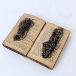 Kingsley Gunatillake, Owl, 2022