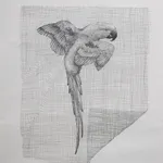 Firi Rahman, Enclosure XII, 2022