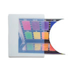 Sara Greenberger Rafferty, Search Emoji, 2021