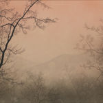 Kataoka Tamako (1905–2008) , Flowers