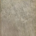 Kataoka Tamako (1905–2008) , Flowers