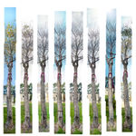 Shi Jin-Hua, One Thousand Days, 2012.04.20-2015.01.14