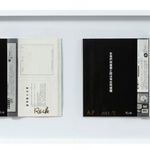 Shi Jin-Hua, Xiong Shi Project, 1993