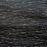 Shi Jin-Hua, Pen Walking #29, 2007