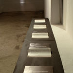 Shi Jin-Hua, Xiong Shi Project, 1993