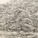 Shi Jin-Hua, One Thousand Days, 2012.04.20-2015.01.14