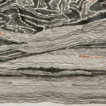 Shi Jin-Hua, Pen Walking #116, 2011