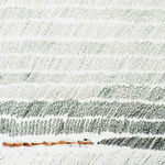 Shi Jin-Hua, Pen Walking #42, 2007