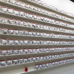 Shi Jin-Hua, One Thousand Days, 2012.04.20-2015.01.14