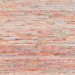 Shi Jin-Hua, Ten Practices and Vows, 2006-2009