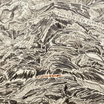 Shi Jin-Hua, One Thousand Days, 2012.04.20-2015.01.14