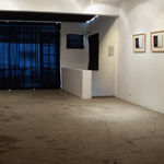 Shi Jin-Hua, Xiong Shi Project, 1993