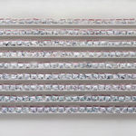 Shi Jin-Hua, One Thousand Days, 2012.04.20-2015.01.14