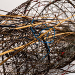 Shaqayeq Arabi, Untitled, 2026