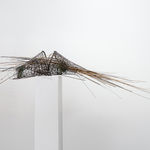 Shaqayeq Arabi, Untitled, 2026