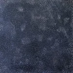 Kathleen Petyarre, Arnkerrthe - the Thorny or Mountain Devil Lizard, 2009