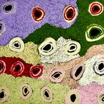 May Mayiwalku (May Wokka) Chapman, Water All Around, 2020