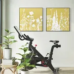 Simon Bull, Isabelle, 2021