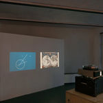 Paradisaea Decora / Golden Bird of Paradise with Sound Piece, 2021