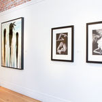 Fran J Nagy, Big Dreams 1, 2021