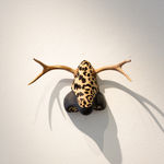 Julie McNair, Batter Up