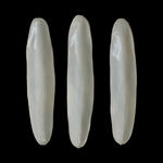 White Ceramic petals that can be arranged in multiple ways by slate gray gallery artist Angela Okajima-Kempinas