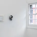 Duong Thuy Nguyen, Behind the incubative undercurrent, 2024-25