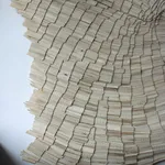 Wycliffe Stutchbury, Holme Fen 9, 2025