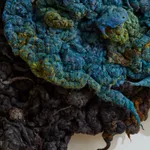 Dana Barnes, FLUX (Held in Motion), 2026