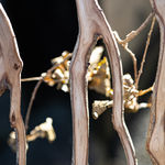 Full Grown, Rover, 2024