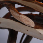 Full Grown, Lumsdale table lamp, 2019