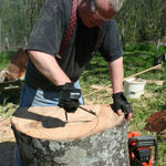 Marc Ricourt, 07 Ash C19, 2019