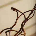 Ori Orisun Merhav, Insect Morphōsis, 2025