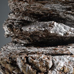 Luke Fuller, Accretion, 2022