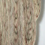 Alida Kuzemczak-Sayer, Stroke, 2023