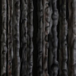 Full Grown, Rover, 2024