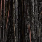 Annette Mills, Enclosed 2, 2026