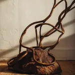 Ori Orisun Merhav, Insect Morphōsis, 2025