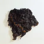 Dana Barnes, FLUX (Held in Motion), 2026