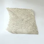 Wycliffe Stutchbury, Holme Fen 9, 2025