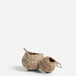 Lucy Williams, Donut, 2026