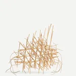 Ann Coddington, Constellation, Set II, 2025