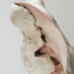 Julian Watts, Flat Blob Vase, 2021