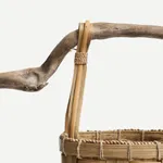 Lucy Williams, Donut, 2026