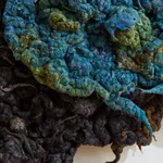 Dana Barnes, FLUX (Held in Motion), 2026