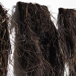 Full Grown, Rover, 2024