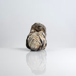 Eleanor Lakelin, Voided Vessel #5, 2024