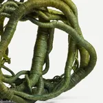 Aude Franjou, Forest Nest #2, 2026